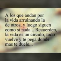 El contundente mensaje de Matías Defederico, ¿dedicado a Cinthia Fernández?