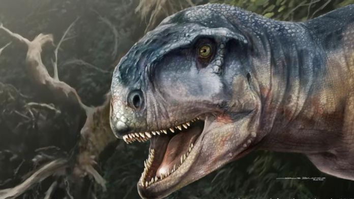 Weekend | Hallan en la Patagonia un dinosaurio con un cráneo que asusta