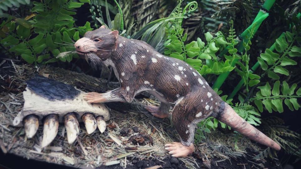 Orretherium tzen 20210408