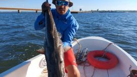 Pesca con devolución