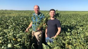 Los Grobo lanzan una plataforma con la que apuesta digitalizar la gestión agropecuaria: "Exportar alimentos es una bendición"