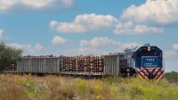 Trenes Argentinos de Cargas