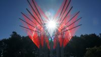 Arte: “Nació” otra flor gigante en la ciudad de Buenos Aires