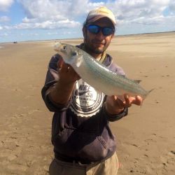 La modalidad de pesca, para esta especie como es el pejerrey panzón, es de fondo realizando lances, entre 15 a 40 metros de la costa.