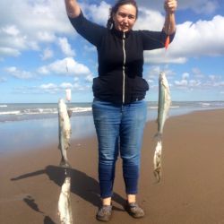 Las carnadas fueron camarón atado con hilo elástico y magru cortado en tiritas o banderita colgando del anzuelo.