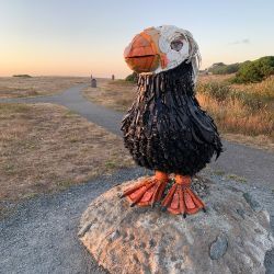 El frailecillo hecho con basura recogida en las playas de Oregón es un recordatorio de la alta contaminación de los océanos. Foto: Verena Wolff/dpa 