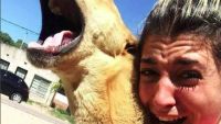 perrito-viral