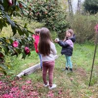 Wanda Nara mostró su refugio de fin de semana: naturaleza y en familia