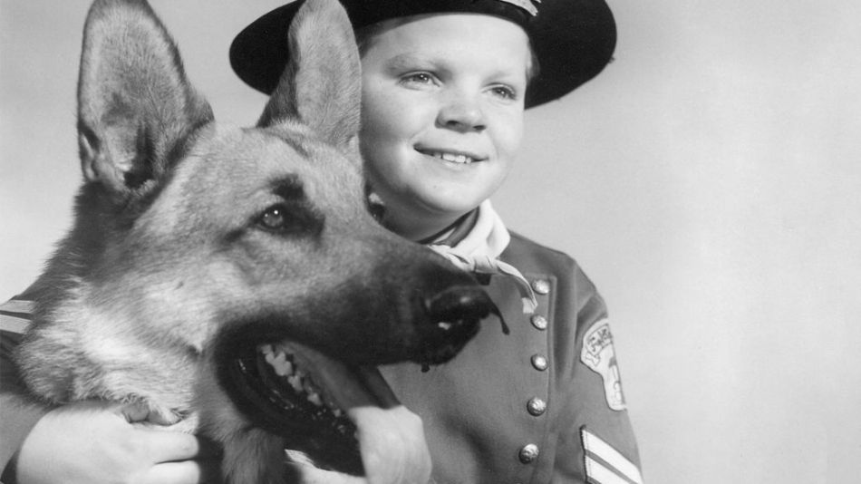 Murió Lee Aaker, la estrella infantil de Rin Tin Tin