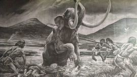 La depredación humana impulsó la extinción de la megafauna en Sudamérica.