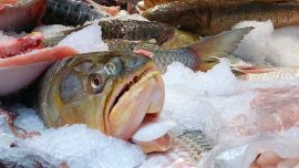 Las sustancias encontradas se utilizan para tratar enfermedades infecciosas en animales y en humanos.