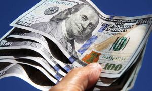 20210417_dolar_cedoc_g