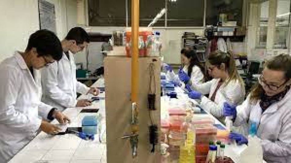 Convocatoria de proyectos de investigación UBA
