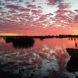 A diferencia de 2020, este año tienen la suerte de poder seguir disfrutando la pesca deportiva, tanto locales como pescadores de otras localidades.