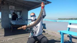 En el río las capturas no suelen superar los 70 cm.