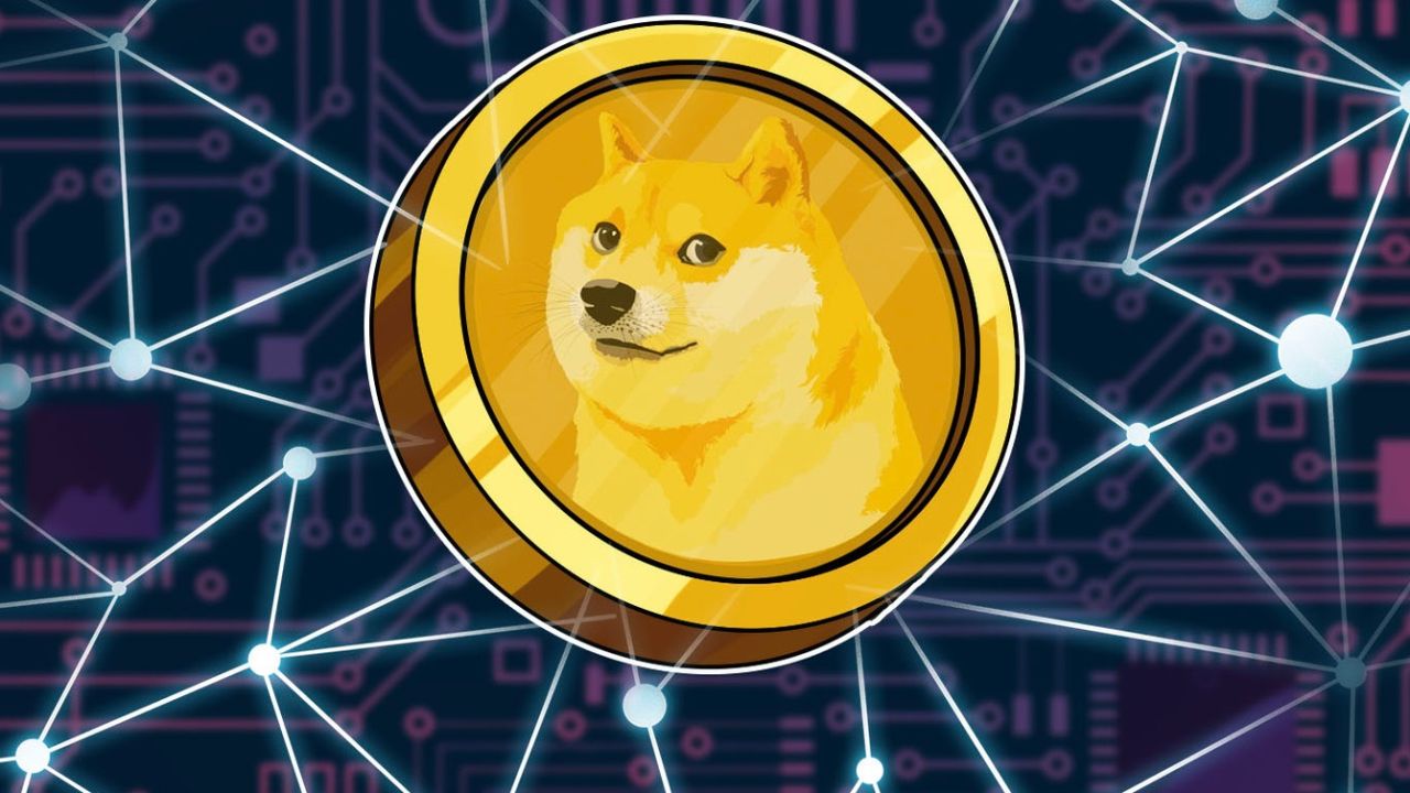 Dogecoin sube más de 5.000% en 2021 | Perfil