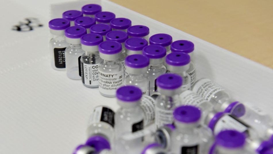 Pfizer Vacunas Falsas