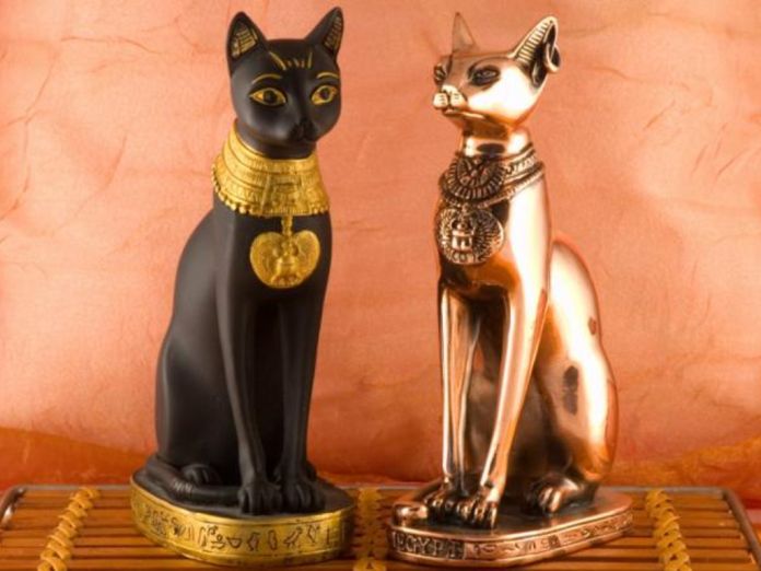 Esta es la razón esencial por la que los antiguos egipcios adoraban a los gatos