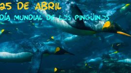 La fecha fue propuesta por la Global Penguin Society (GPS)