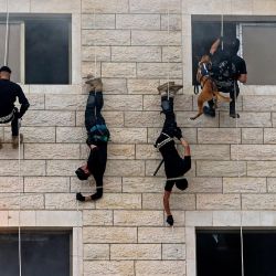 Los miembros palestinos de las fuerzas de seguridad de Hamas hacen rappel a lo largo de la pared de un edificio mientras muestran sus habilidades durante una ceremonia de graduación de la policía en la ciudad de Gaza. | Foto:Mahmud Hams / AFP