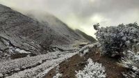Una espectacular nevada tiñó de blanco el norte de Jujuy