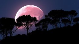 ¿Cómo será la Superluna Rosa que se verá esta noche?