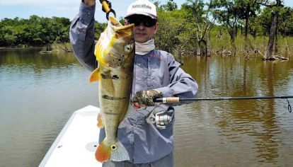 ¿Qué edad tienen los peces que pescamos?