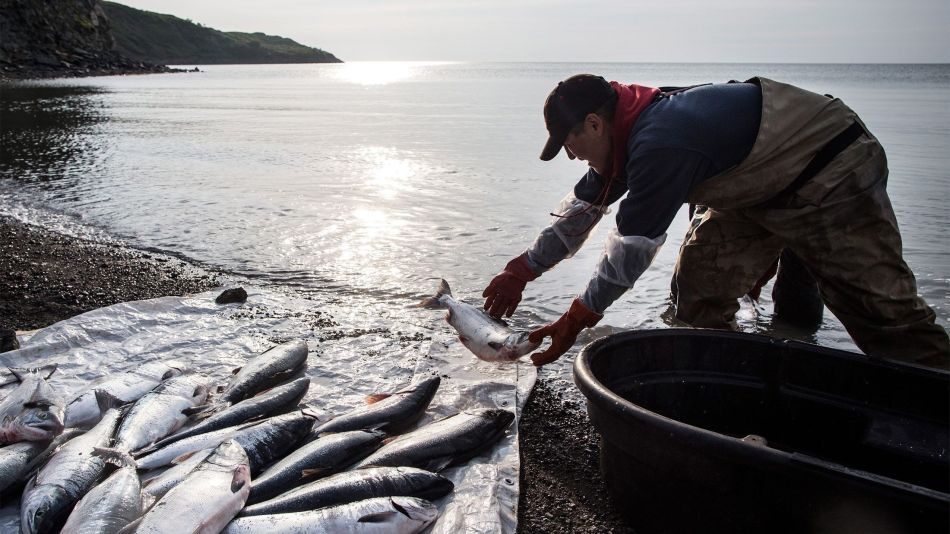 Rising Seas And Warming Temperatures Force Alaskan Coastal Community To Move Inland