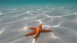 Universidad Corea y Japón playa 20210429