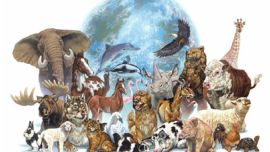 La fecha se conmemora en memoria del abogado cordobés Ignacio Lucas Albarracín, pionero en la lucha por los derechos de los animales.