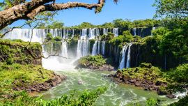 Las Cataratas del Iguazú adquieren tonalidades doradas y rojizas durante el otoño y la convierten en el momento ideal para visitar la ciudad.