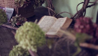 Lectura