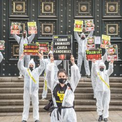España, Barcelona: manifestantes frente al edificio del Banco de España sosteniendo pancartas durante una manifestación de representantes de Barcelona de Animal Rebellion, un movimiento internacional para la lucha por un sistema alimentario sostenible, la justicia climática y la defensa de los animales, alertar sobre qué comer animales es la causa de las pandemias. | Foto:Thiago Prudencio / SOPA Imágenes vía ZUMA Wire / DPA