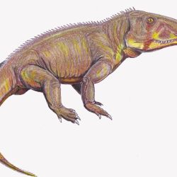 Esta nueva y milenaria especie de reptil fue bautizada “Bharitalasuchus tapani”.