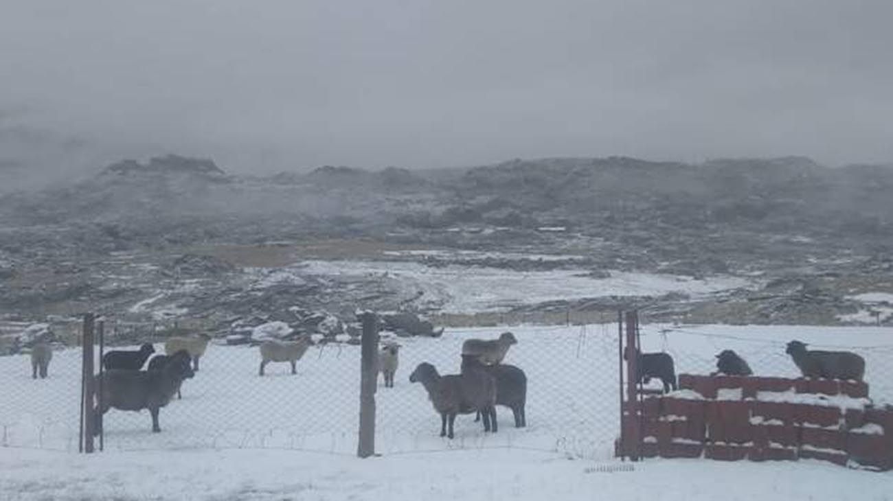  nevada de hoy en Córdoba