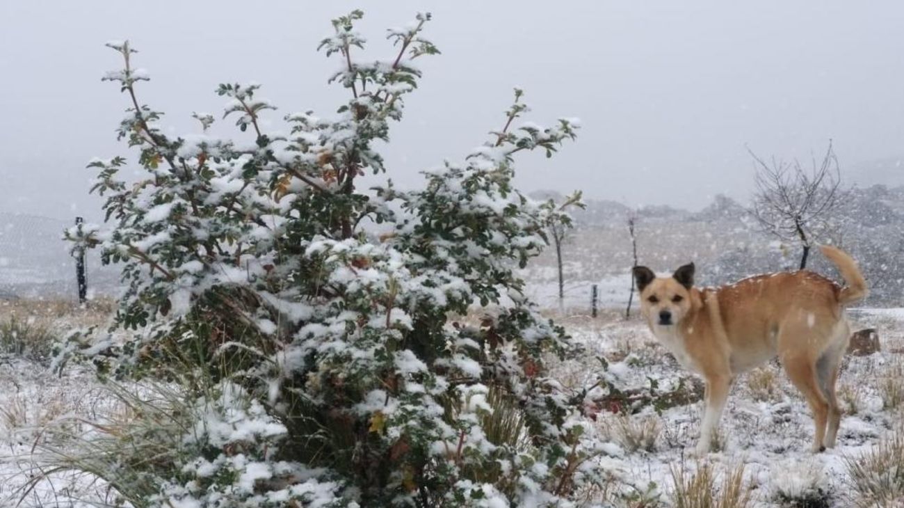 Imágenes del Cerro Champaquí en Córdoba, cubierto de nieve por las bajas temperaturas