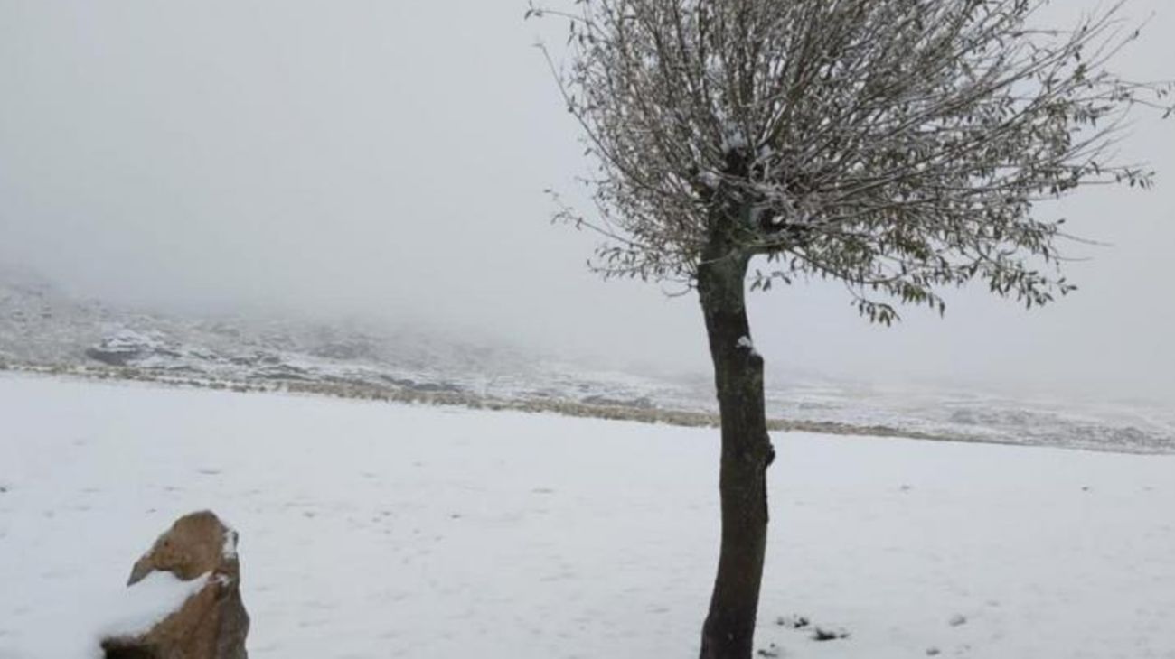 Imágenes del Cerro Champaquí en Córdoba, cubierto de nieve por las bajas temperaturas