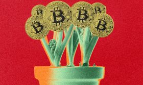 bitcoin crypto art