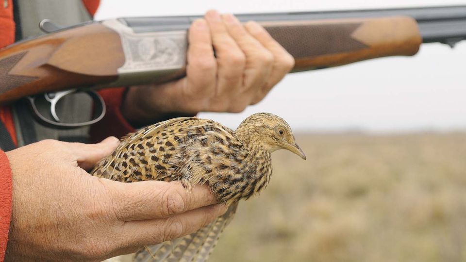¿Cuándo comienza la temporada de caza menor? Weekend