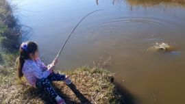 La escuela trabajará con dos metodologías, una teórica y otra práctica.