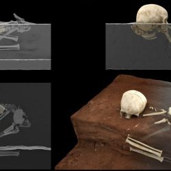 El cuerpo del niño fue protegido con un sudario hecho de material perecedero