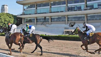 Sin gritos. Los jockeys corren las carreras en la pista central pero ante tribunas sin gente. Los entrenamientos siguen vigentes.