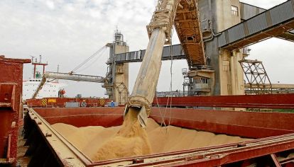El boom agrícola y sus precios salvadores