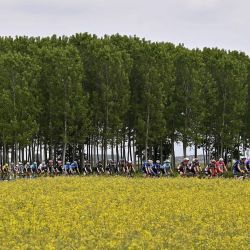 Italia, Novara: ciclistas viajan durante la segunda etapa de la 104a edición de la carrera ciclista Giro d'Italia, una etapa plana de 179 km desde Stupinigi a Novara. | Foto:Fabio Ferrari / LaPresse vía ZUMA Press / DPA