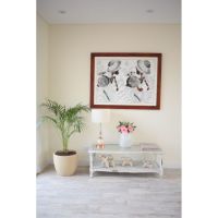 Bromelia Design