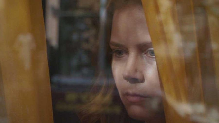 Basada en el best seller homónimo de A.J Finn, Amy Adams es Anna Fox, una psicóloga que sufre de agorafobia y es testigo de un crimen