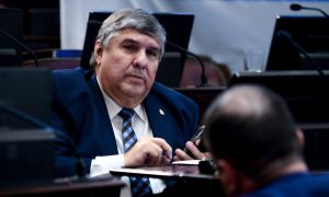 El titular de la bancada oficialista en el Senado, José Mayans.