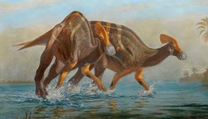Especie Dinosaurio México