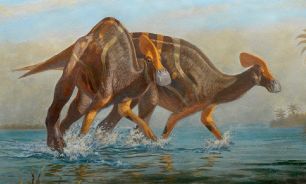 Especie Dinosaurio México