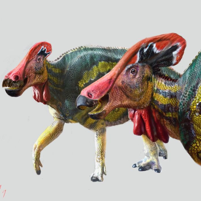 Weekend | México: descubren un dinosaurio que habría sido parlanchín